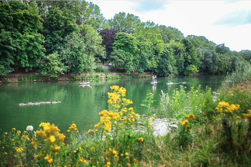 ile marne