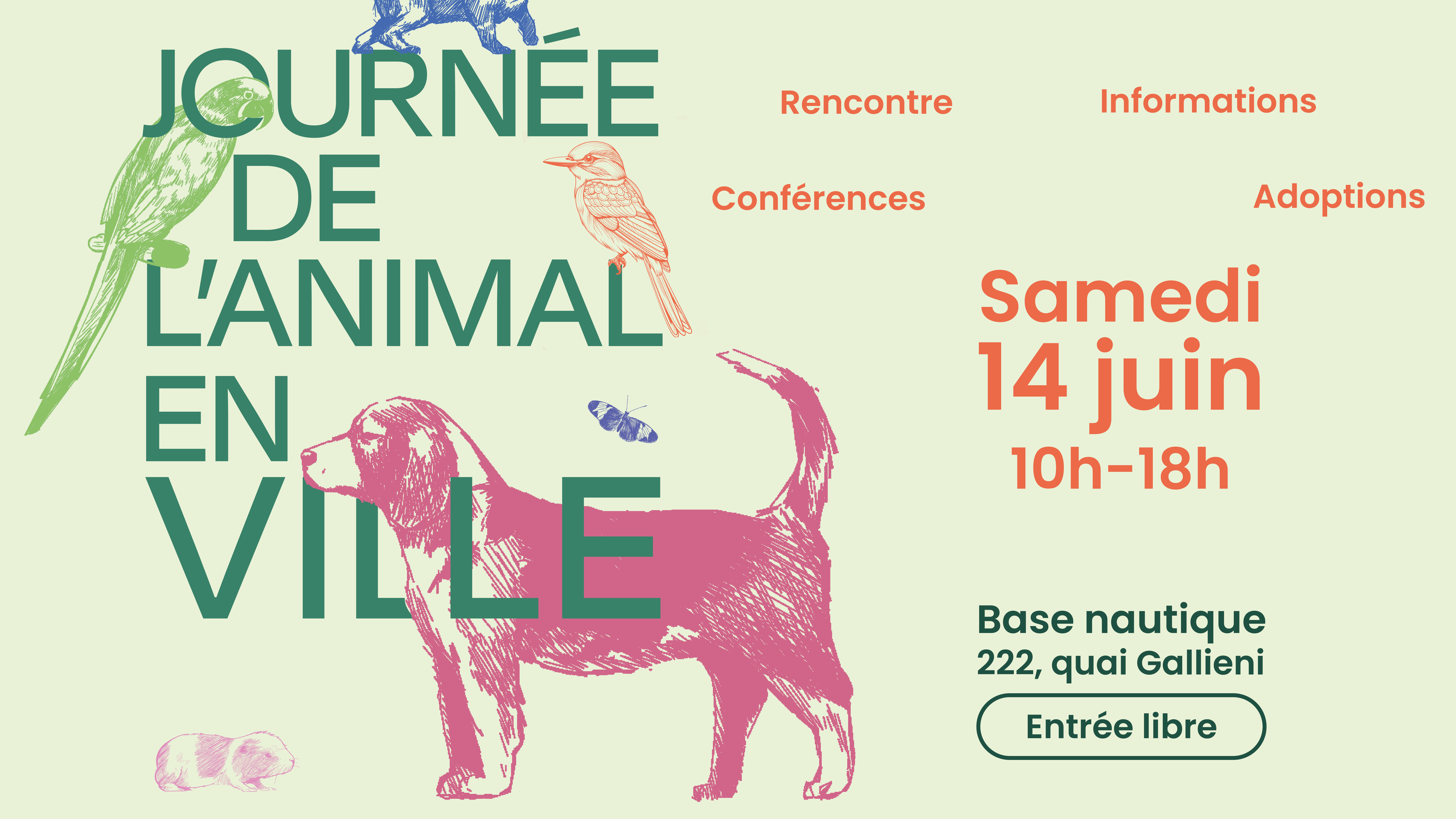 animal en ville 