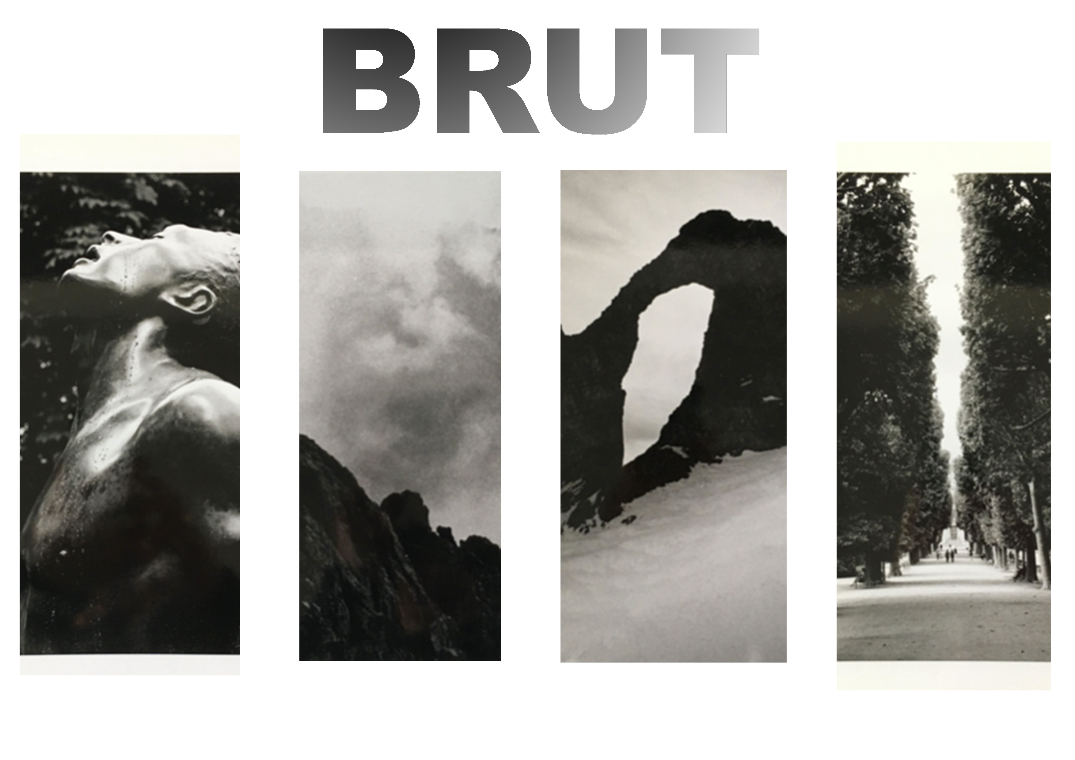 Brut expo