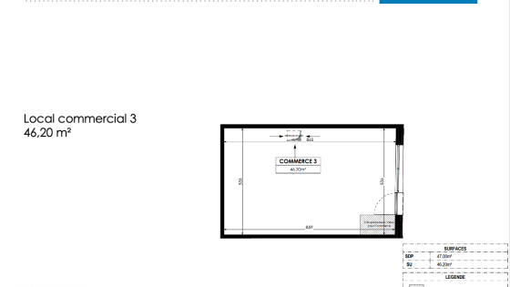 Local commercial 46,20m2 centre ville